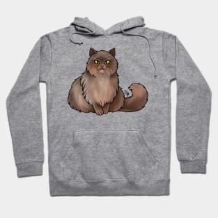 Cat - British Longhair - Brown Hoodie